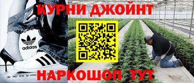 спайс Краснознаменск