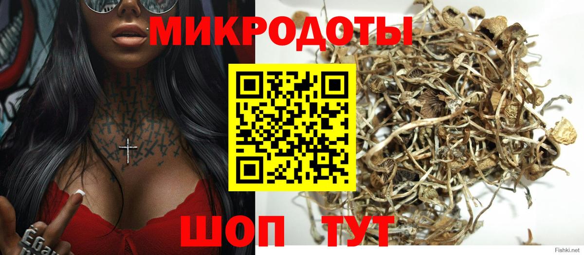 Гусиноозёрск  Псилоцибиновые грибы Psilocybe  Вход с VPN 